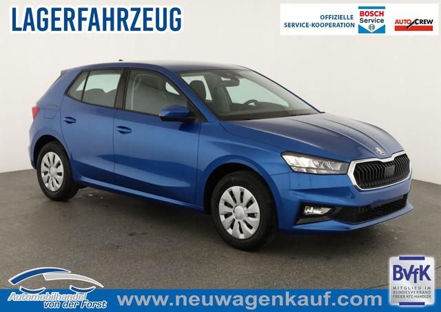 Skoda Fabia - Selection Fabia 1.0 TSI Selection, Ladeboden, Park, Winterpaket, SmartLink, 4 J.-Garantie
