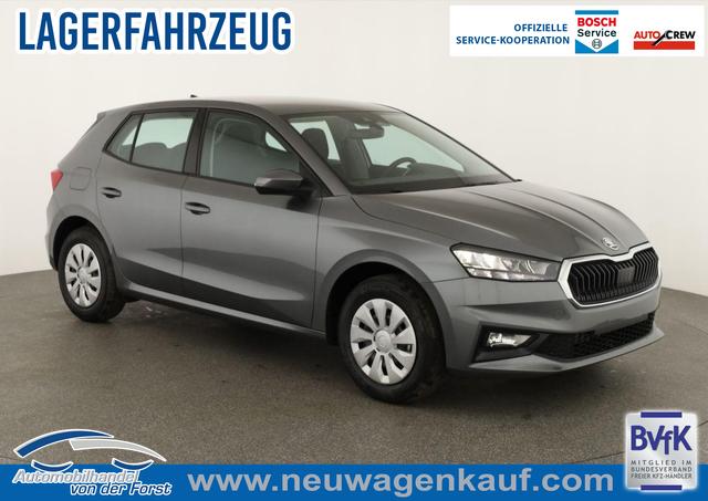 Skoda Fabia - Selection Fabia 1.0 TSI Selection, Tempomat, Park, Winterpaket, SmartLink, 4 J.-Garantie