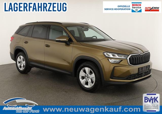 Skoda Kodiaq - 2.0 TDI 110 kW Selection 2.0 TDI DSG Selection, AHK, Navi, Kamera, Side, Winter