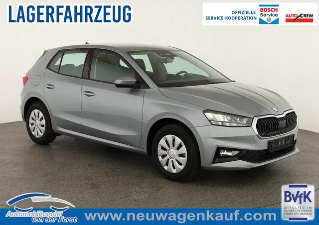 Skoda Fabia - Selection 1.0 TSI Selection, Tempomat, Ladeboden, Park, Winterpaket, SmartLink, 4-J Garantie