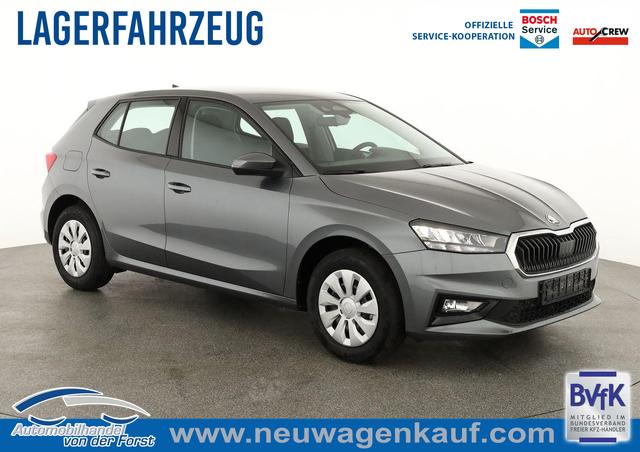 Skoda Fabia - Selection 1.0 TSI Selection, AHK, Tempomat, Ladeboden, Park, Winterpaket, SmartLink, 4-J Garantie