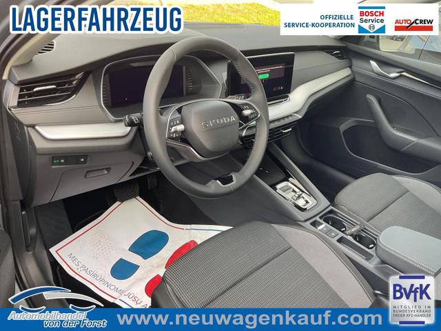 Skoda Octavia Combi - 1.5 TSI mHEV 110 kW Selection 1.5 TSI DSG mHEV Selection, AHK, FS-beheizbar, Side, 17-Zoll