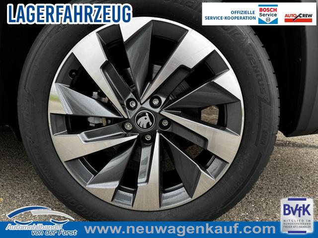 Skoda Kodiaq - 2.0 TDI 142 kW 4x4 Selection 2.0 TDI DSG 4x4 Selection 7 Sitzer 19 Zoll AHK el. HK Pano