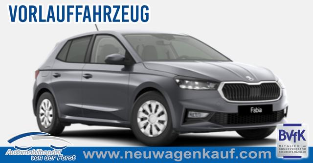 Skoda Fabia - Selection 1.0 TSI 7-Gang-DSG Fabia