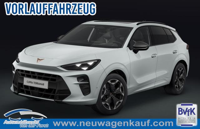 Cupra Terramar - VZ 2.0 TSI 7-Gang-DSG 4Drive Terramar