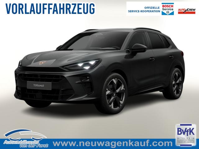 Cupra Terramar - Terramar DSG EdgeP SHZ eHk Kam ACC 19" PrivG Amb