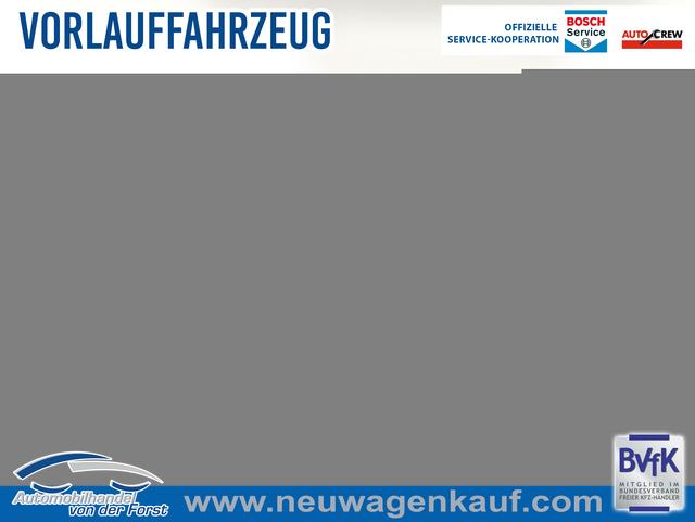 Volkswagen Polo - R-Line Polo R-Line ParkA Kam PrivG SHZ Keyl AC2Zone 17Z