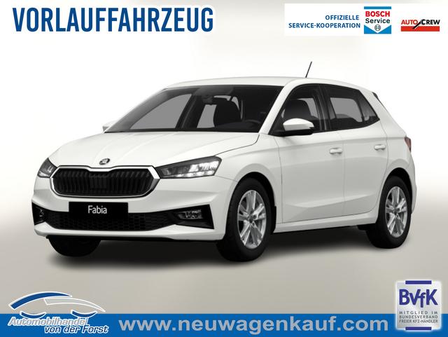 Skoda Fabia - Selection DSG Selec Kessy Kam SHZ SunS Temp 5J/100k