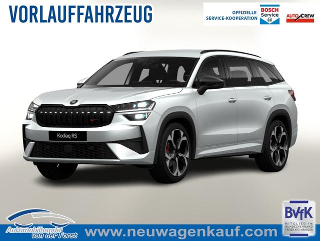 Skoda Kodiaq - RS RS AHK Matrix DCC SHZhi Canton ACC elHeck
