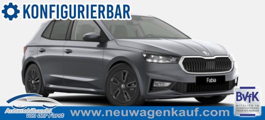 Skoda Fabia - "Sondermodell Dynamic" (1) LIEFERUNG KOSTENLOS! 1.5 TSI 150PS DSG/AUTOMATIK, 5 JAHRE GARANTIE, 16" ALU schwarz, Sportfahrwerk, SunSet, Parksensoren vo/hi, Kamera, Kessy, Alarm, Toter-Winkel, Virtual Cockpit 10", LED-Scheinwerfer, M-Lederlenkrad beheizt, NSW Sitzheizung, Tempomat, Climatronic, Radio 8"+