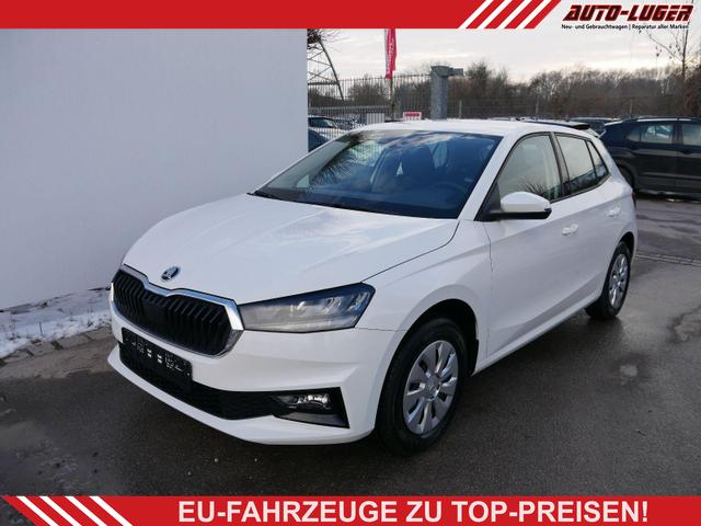 Skoda Fabia - Selection 1.0 TSI *NAVI-&Uuml;BER-SMARTLINK*PDC-HI*LED*SHZ*KLIMA*RADIO