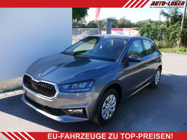 Skoda Fabia - Selection 1.0 TSI *NAVI-&Uuml;BER-SMARTLINK*PDC-HI*LED*SHZ*KLIMA*RADIO