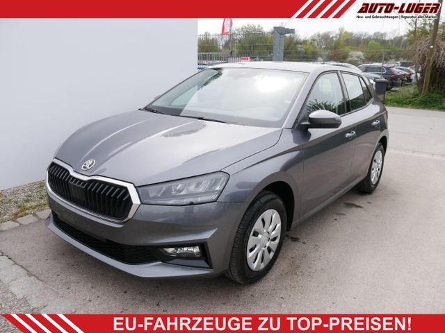 Skoda Fabia - Selection 1.0 TSI DSG*NAVI-&Uuml;BER-SMARTLINK*LED*PDC-HI*SHZ*DAB*KLIMA