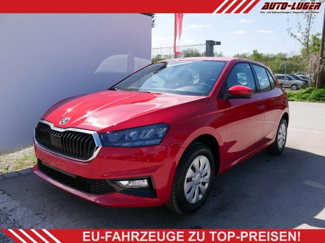 Skoda Fabia - Selection 1.0 TSI DSG*NAVI-&Uuml;BER-SMARTLINK*LED*PDC-HI*SHZ*DAB*KLIMA