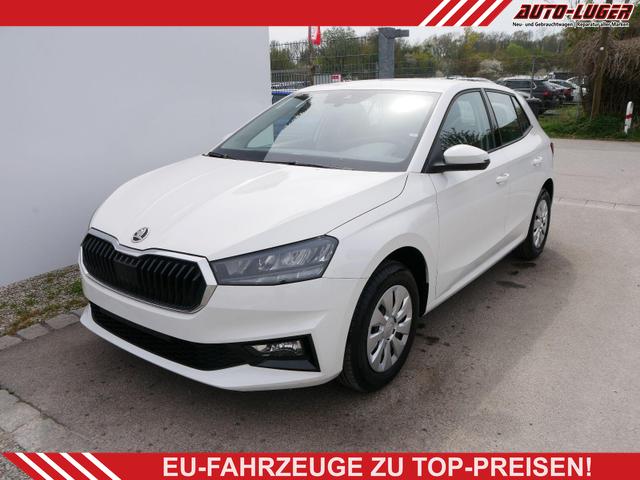 Skoda Fabia - Selection 1.0 TSI *NAVI-&Uuml;BER-SMARTLINK*PDC-HI*LED*SHZ*KLIMA*RADIO