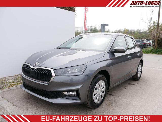 Skoda Fabia - Selection 1.0 TSI DSG*NAVI-&Uuml;BER-SMARTLINK*LED*PDC-HI*SHZ*DAB*KLIMA