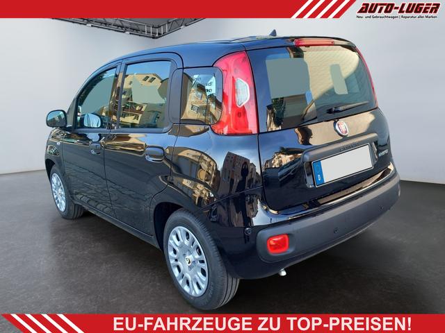 Fiat Panda - 1.0 Pandina Mild Hybrid 6-Gang Klima digital Cockpit