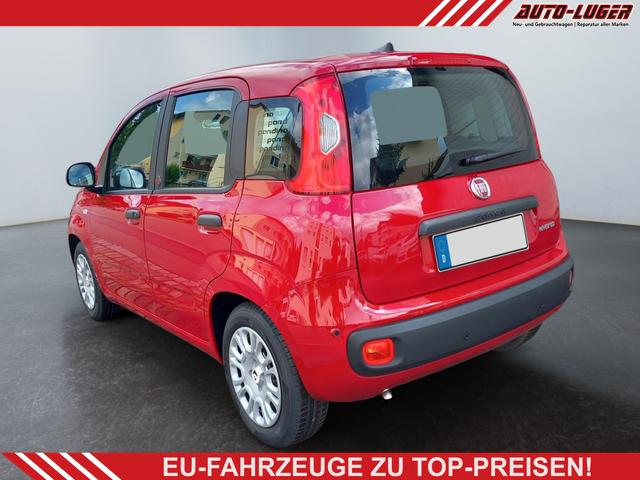 Fiat Panda - 1.0 Pandina Mild Hybrid 6-Gang Klima Radio digital Cockpit