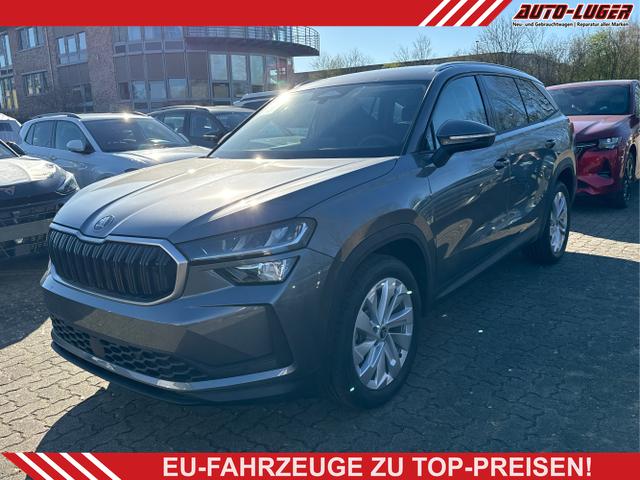 Skoda Kodiaq - Selection DSG+NAVI+19'' ALU+ACC+KAMERA