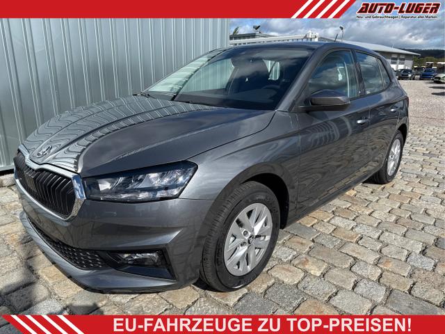 Skoda Fabia - Sondermodell 130 Jahre Selection Plus 1.0 TSI 85kW/116 PS -DSG-AppleCarPlay-AndroidAuto-Winterpaket-LED-PDC-Kamera- Sitzheizung-DAB-Klima-Tempomat-ALU 15"-Sofort verf&uuml;gbar