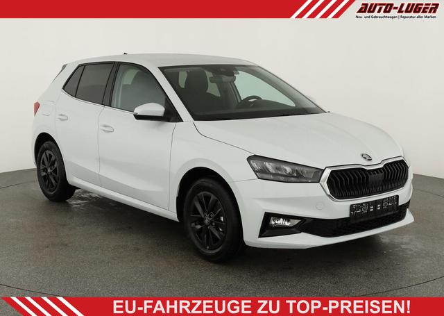 Skoda Fabia - Selection 1.0 TSI Selection, 15-Zoll schwarz, Winter, Ladeboden