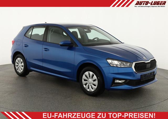 Skoda Fabia - Selection 1.0 TSI Selection, Tempomat, Ladeboden, Park, Winterpaket, SmartLink, 4-J Garantie