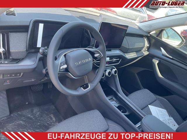 Skoda Kodiaq - 2.0 TDI 142kW 4x4 Selection DSG Selection, AHK, Navi, Side, el. Klappe
