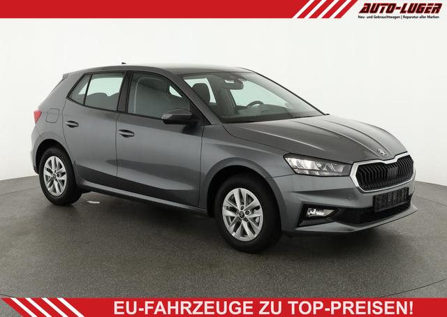 Skoda Fabia - Selection 1.0 MPI 130 Jahre, Kamera, Winter, 15-Zoll, Park