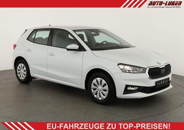Skoda Fabia - Selection 1.0 TSI Selection, AHK, Tempomat, Ladeboden, Park, Winterpaket, SmartLink, 4-J Garantie