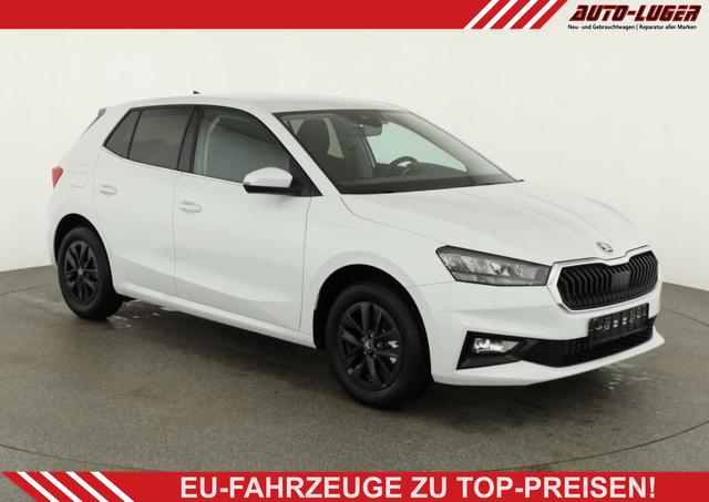 Skoda Fabia - Selection 1.0 TSI DSG Selection, 15-Zoll schwarz, Winter, Ladeboden