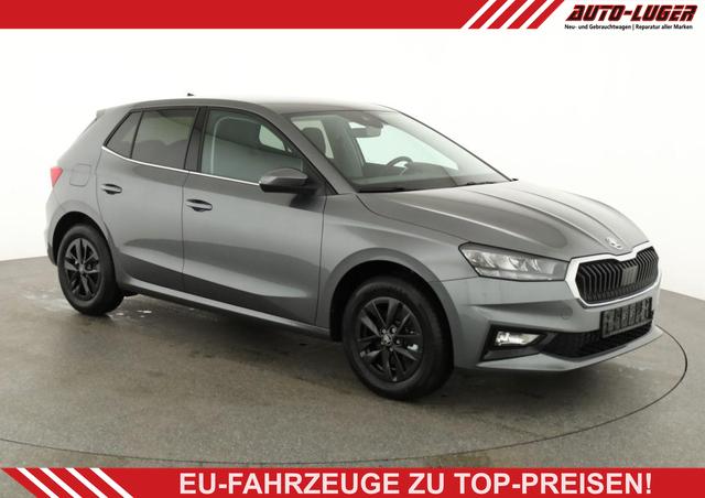 Skoda Fabia - Selection 1.0 TSI DSG Selection, 15-Zoll schwarz, Winter, Ladeboden