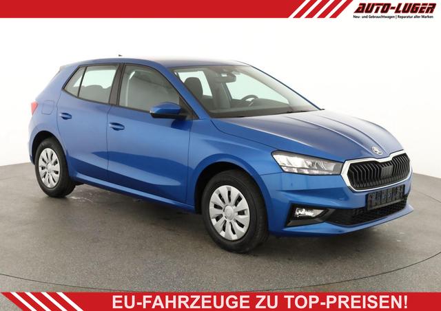 Skoda Fabia - Selection 1.0 TSI Selection, Tempomat, Park, Winterpaket, SmartLink, 4 J.-Garantie