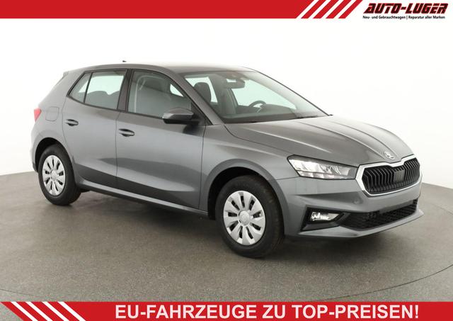 Skoda Fabia - Selection 1.0 TSI Selection, Ladeboden, Park, Winterpaket, SmartLink, 4 J.-Garantie