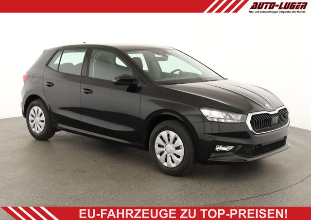 Skoda Fabia - Selection 1.0 TSI Selection, Ladeboden, Park, Winterpaket, SmartLink, 4 J.-Garantie
