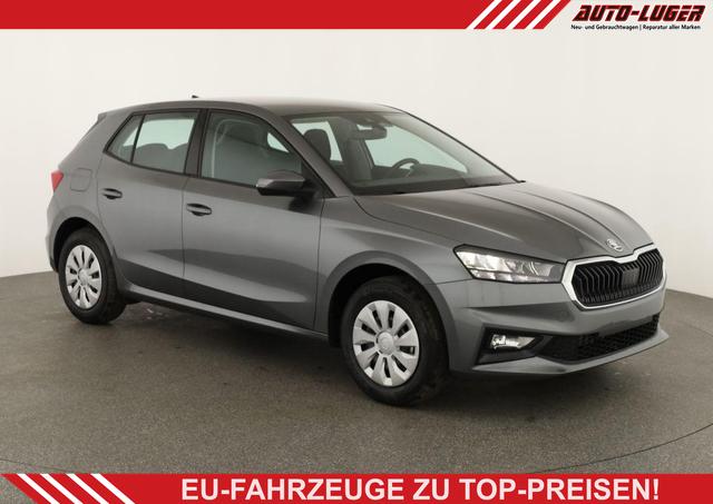 Skoda Fabia - Selection 1.0 TSI Selection, Tempomat, Park, Winterpaket, SmartLink, 4 J.-Garantie