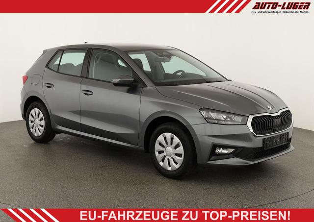 Skoda Fabia - Selection 1.0 TSI Selection, Park, Winterpaket, SmartLink, 4 J.-Garantie