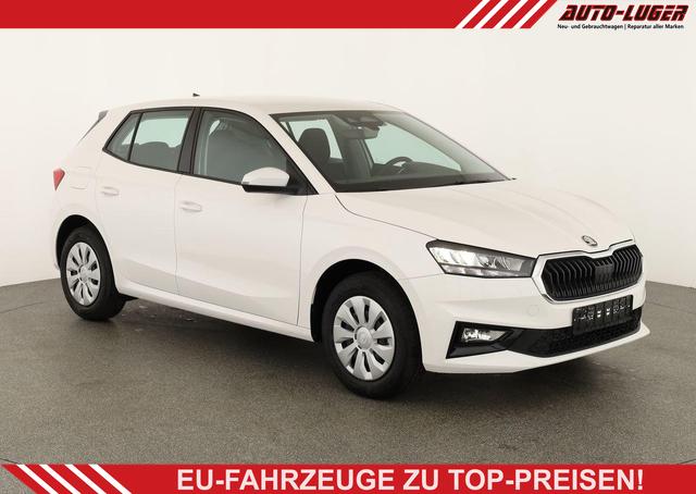 Skoda Fabia - Selection 1.0 TSI Selection, Ladeboden, Park, Winterpaket, SmartLink, 4 J.-Garantie