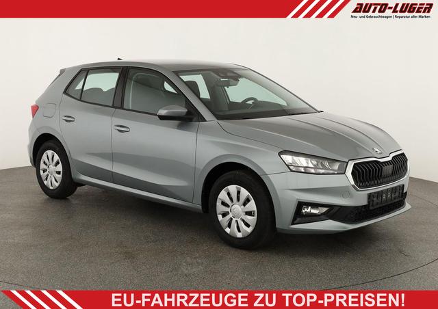 Skoda Fabia - Selection 1.0 TSI Selection, Tempomat, Ladeboden, Park, Winterpaket, SmartLink, 4-J Garantie