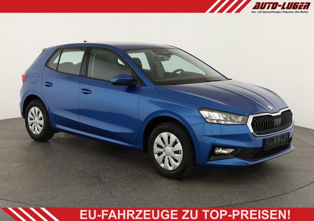 Skoda Fabia - Selection 1.0 TSI Selection, Tempomat, Ladeboden, Park, Winterpaket, SmartLink, 4-J Garantie
