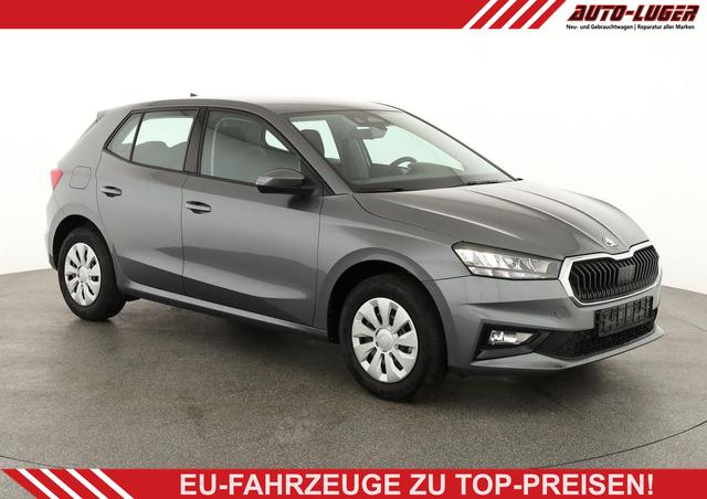 Skoda Fabia - Selection 1.0 TSI Selection, AHK, Tempomat, Ladeboden, Park, Winterpaket, SmartLink, 4-J Garantie