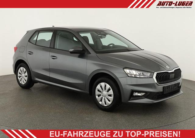 Skoda Fabia - Selection 1.0 TSI Selection, Ladeboden, Park, SmartLink, 4 J.-Garantie