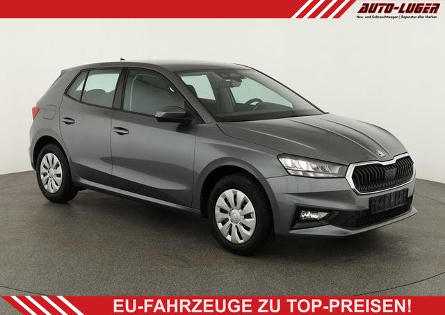 Skoda Fabia - Selection 1.0 TSI Selection, Tempomat, Ladeboden, Park, SmartLink, 4-J Garantie