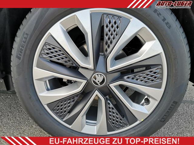 Skoda Karoq - Selection 2.0 TDI DSG 4x4 GV5 AHK 18 Ladeb