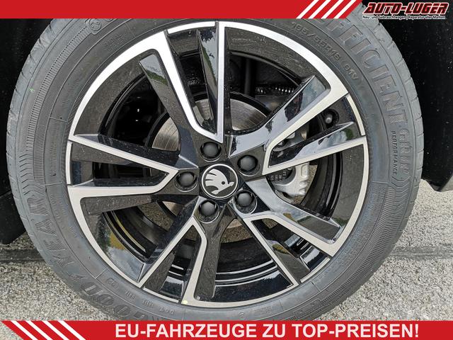Skoda Fabia - Monte Carlo 1.5TSI DSG ACC GV5 Kam