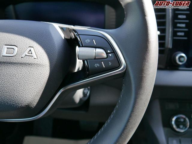 Skoda Karoq Selection 1.5 TSI DSG*ACC*PDC*KAMERA*TEMPOMAT*LED*SMARTLINK*KLIMA*RADIO*17-ZOLL 