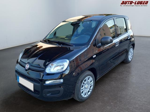 Fiat Panda Pandina