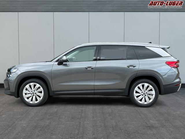 Skoda / Kodiaq / Grau / / / DSG+NAVI+19'' ALU+ACC+KAMERA