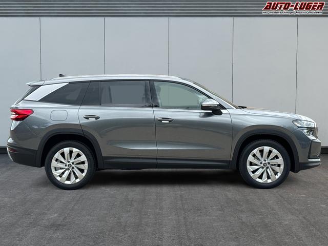 Skoda / Kodiaq / Grau / / / DSG+NAVI+19'' ALU+ACC+KAMERA