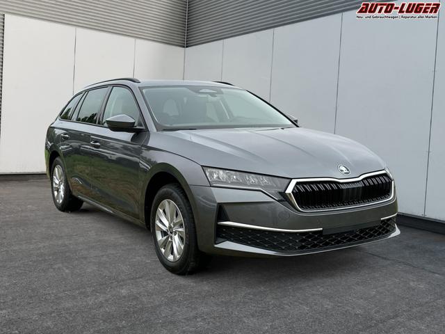 Skoda / Octavia Combi / Grau / / / NAVI+KAMERA+LED+EL. HECKKL.+SHZ, Beispielbilder, ggf. teilweise mit Sonderausstattung