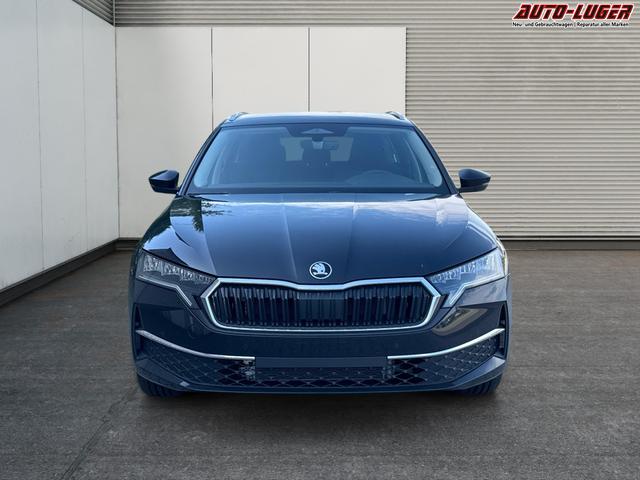 Skoda / Octavia Combi / Schwarz / / / ACC+AHK+eHK+KAM+PDC+LED+17 ALU+SHZ, Beispielbilder, ggf. teilweise mit Sonderausstattung